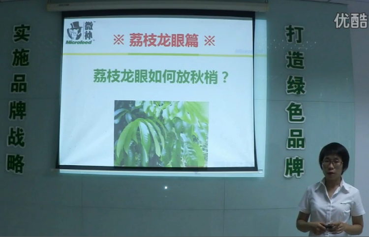 荔枝龍眼-采后樹(shù)弱、秋梢不壯怎么辦？請看微補講座